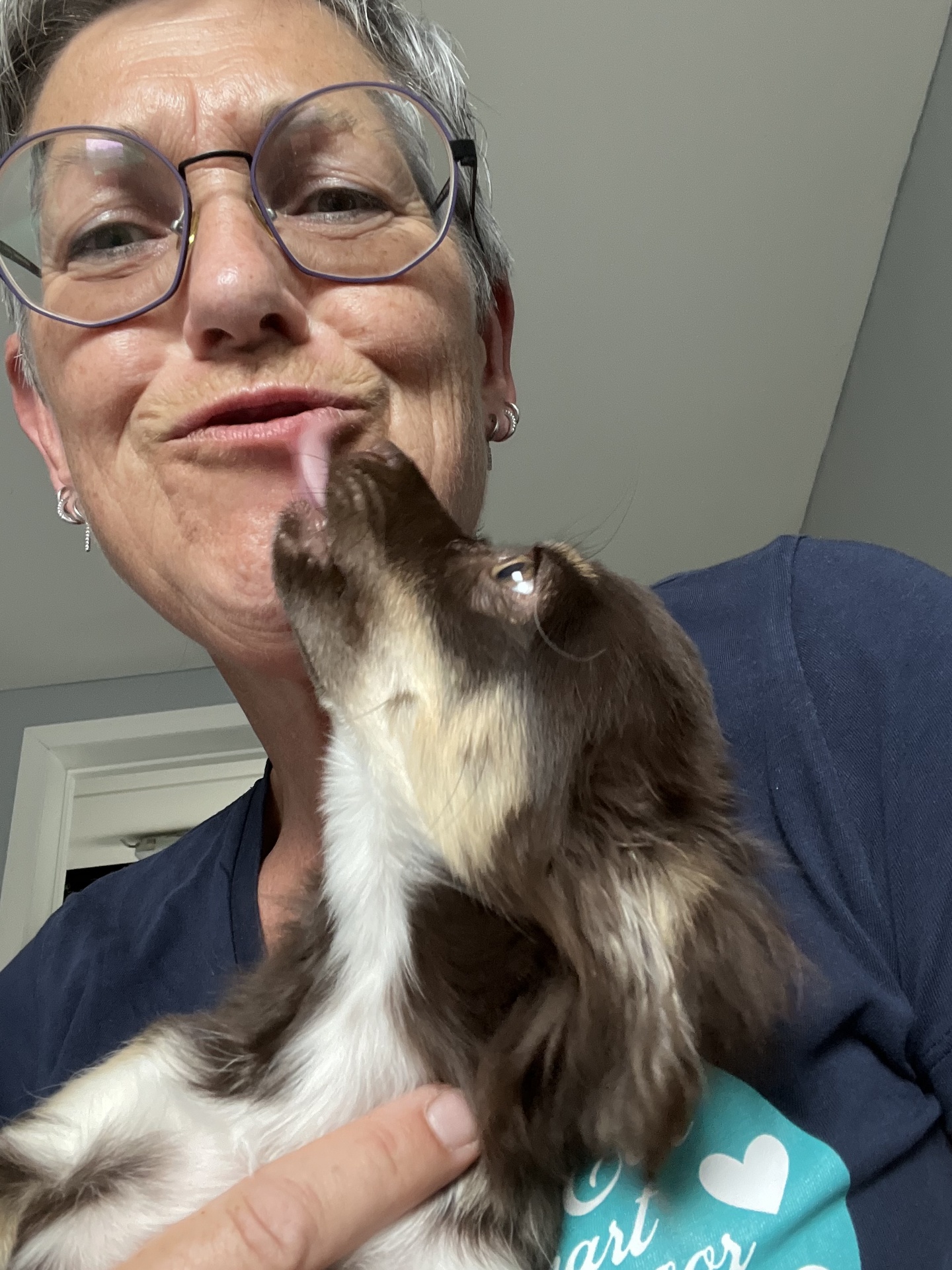 Gaby's Hondenpension