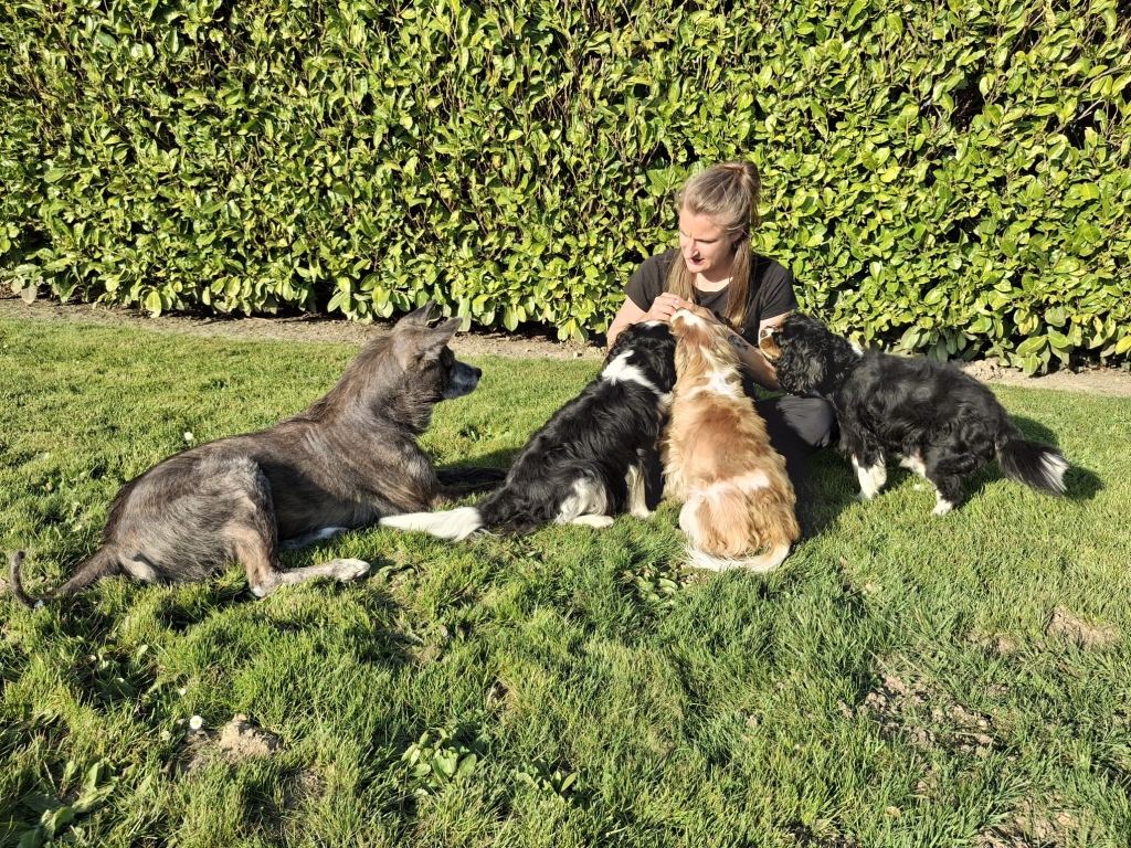 Makoto - A dog's story