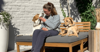 PetFriend